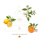 Nourishing Hand Cream La Bassin de Neptune