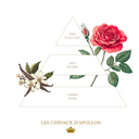 Scented Bar Soap Les Chevaux