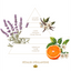Scented Candle Pétales d'églantine | Royale Collection
