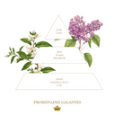 Vonné tuhé mýdlo Promenades Galantes