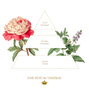 Dárkový set tuhých mýdel No.2