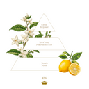 Pampering Hand Cream XIV